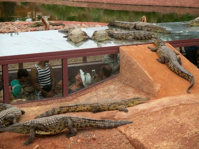 crocoparc-park-krokodyli